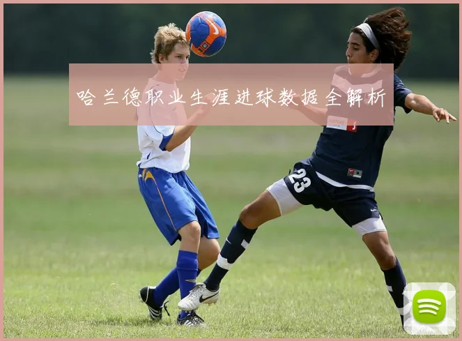 哈兰德职业生涯进球数据全解析