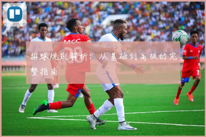 排球规则解析：从基础到高级的完整指南