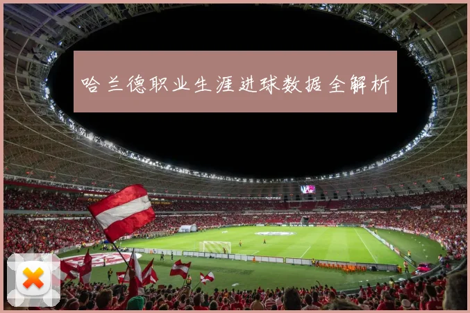 哈兰德职业生涯进球数据全解析