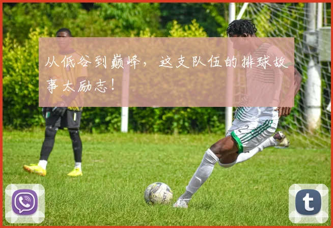从低谷到巅峰,这支队伍的排球故事太励志!